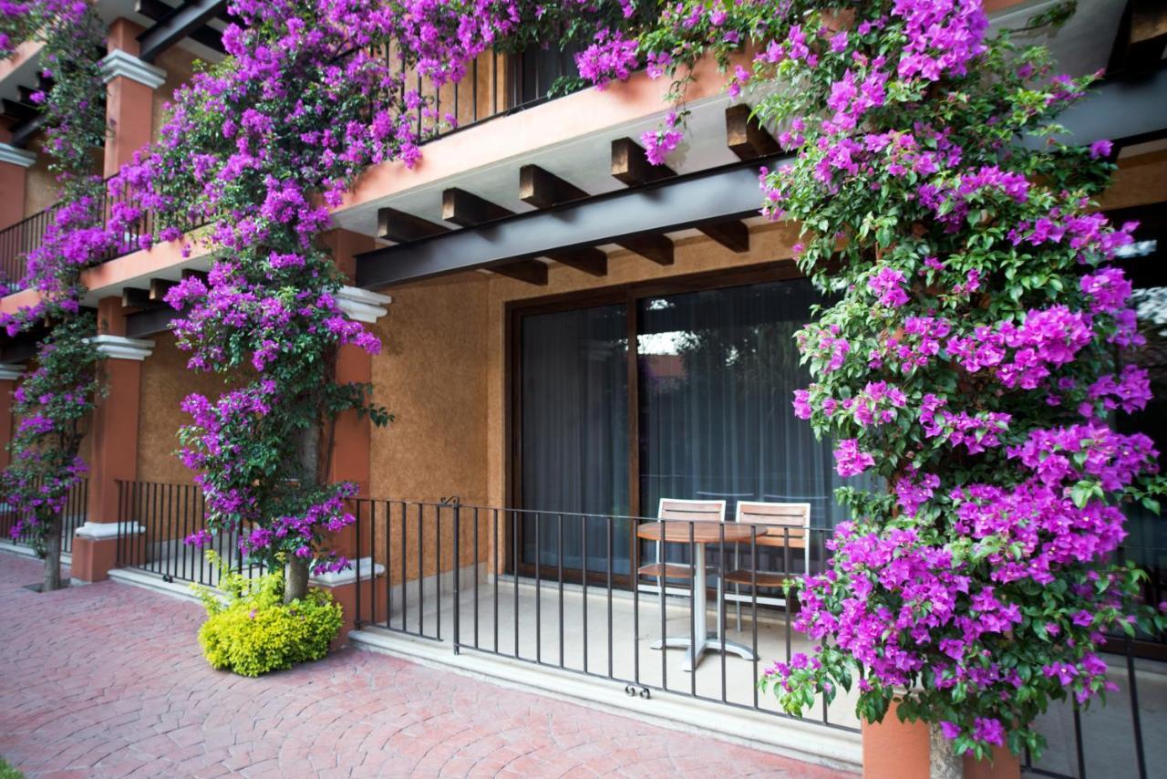 Hosteria Las Quintas Hotel Restaurante Bar Куернавака Екстериор снимка Bougainvillea
